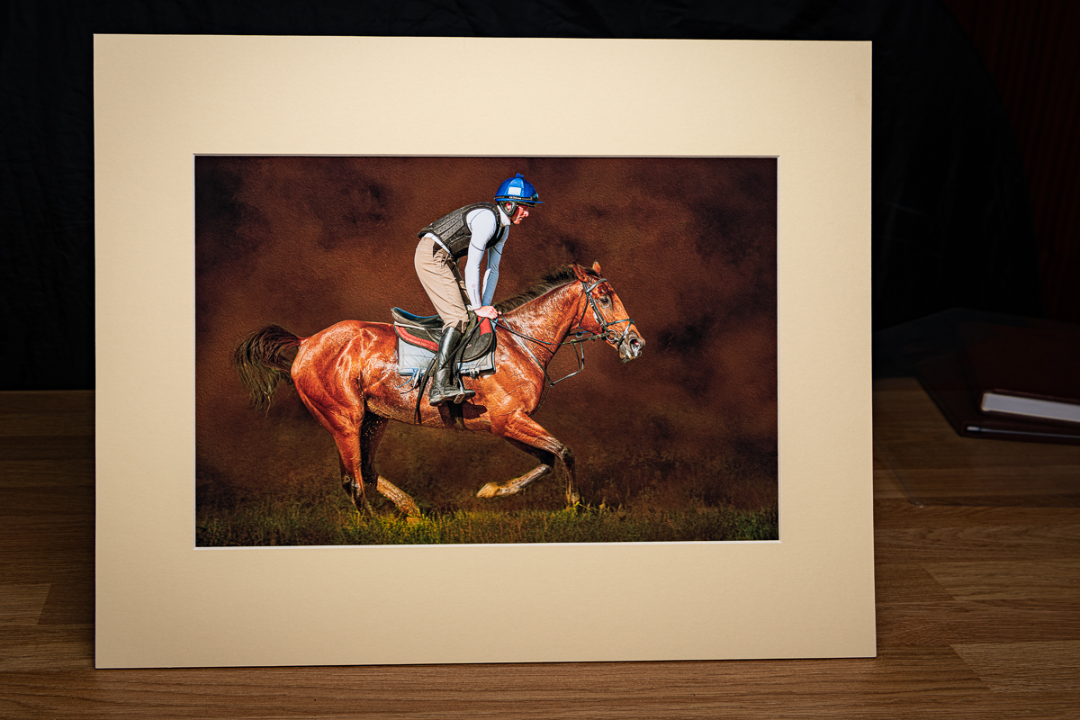 Image of A3 art photo mounted