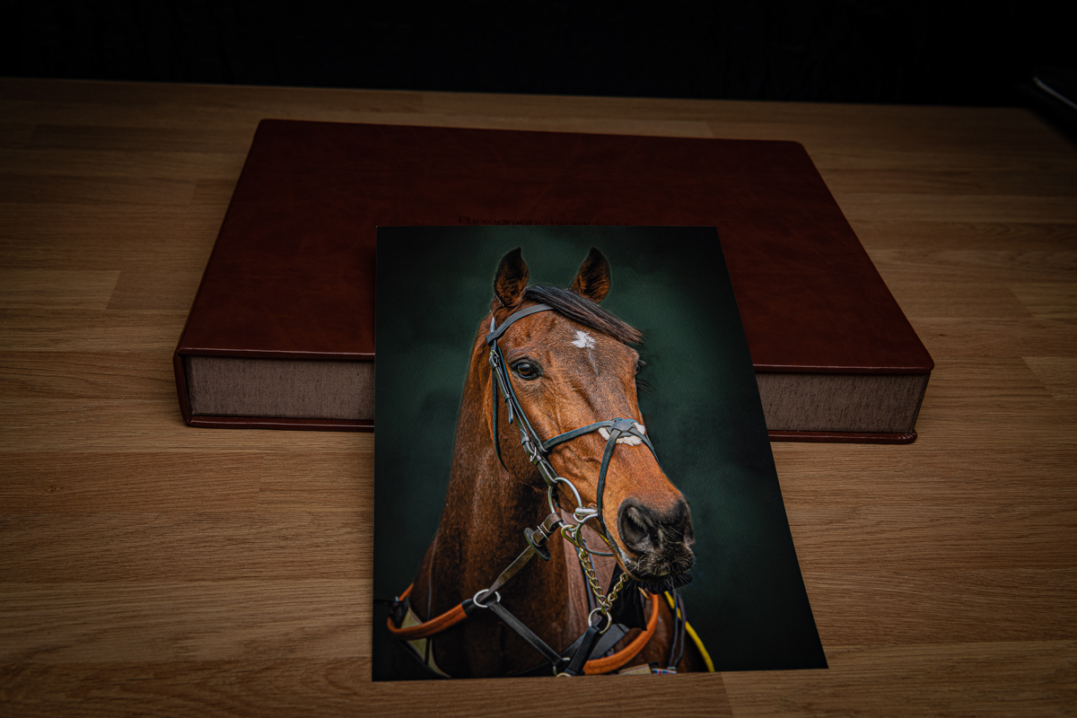 Image of A4 print only