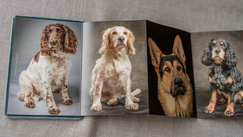 Image of 10x14cm Accordion album inside