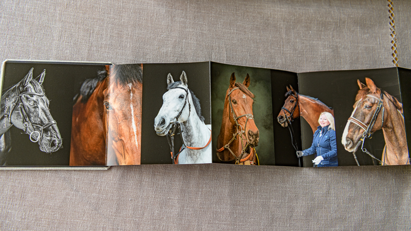 Image of 12x12cm Accordion album inside