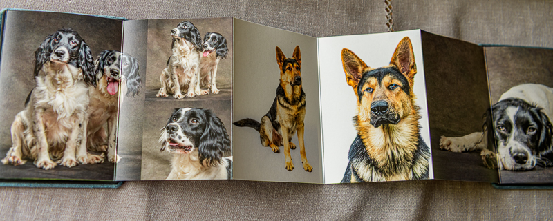 Image of 7x7cm Accordion album inside