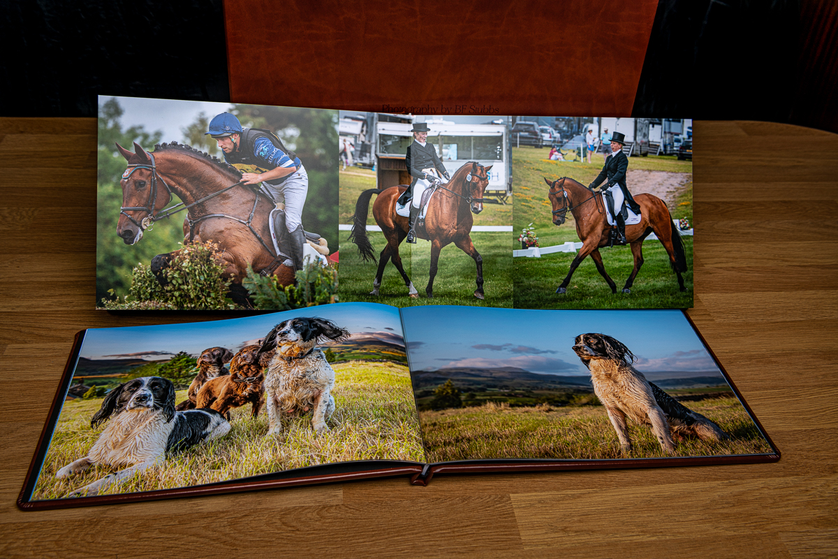 Image of Folio box, open album and open book