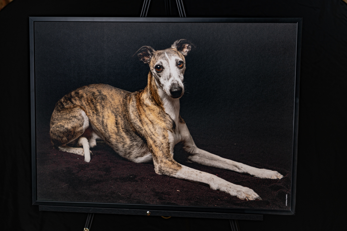 Image of large wall art framed print