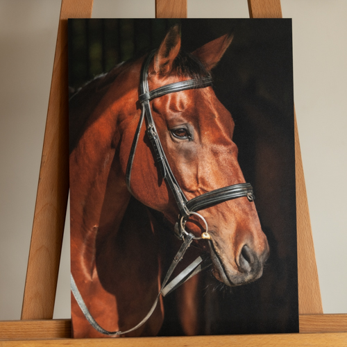 Image of Wall Art wood mounted print