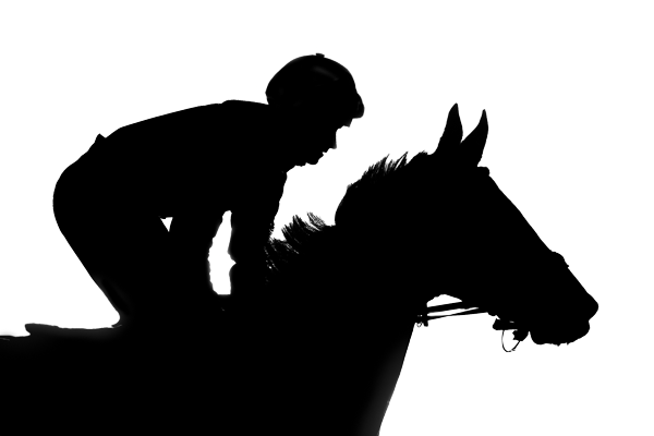 Silhoutte of jockey on horse